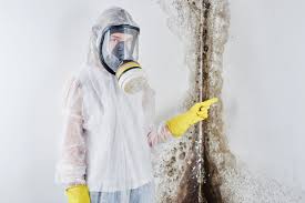 Best Water Damage & Mold Remediation  in Glespie, IL